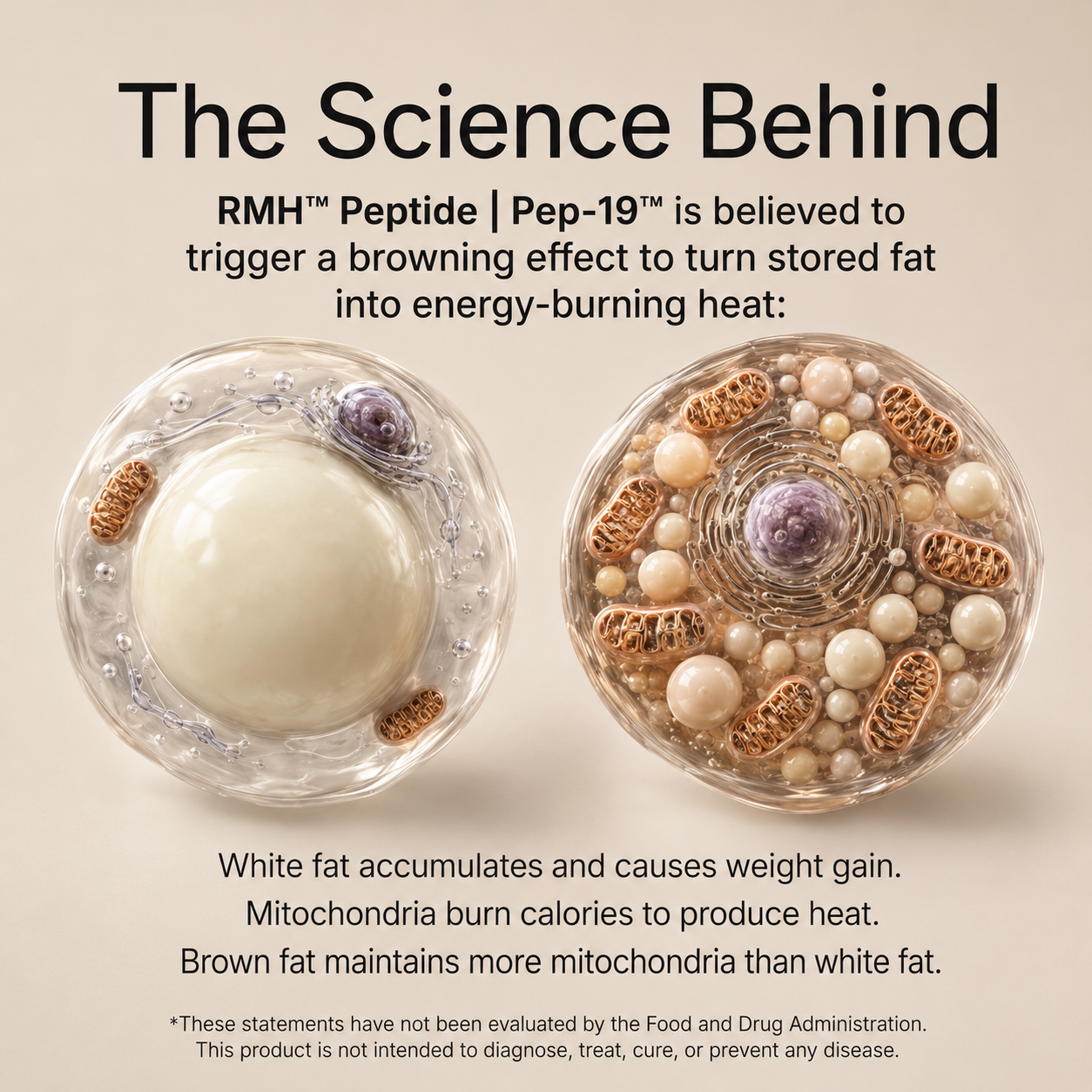 RMH™ Peptide | Pep-19™